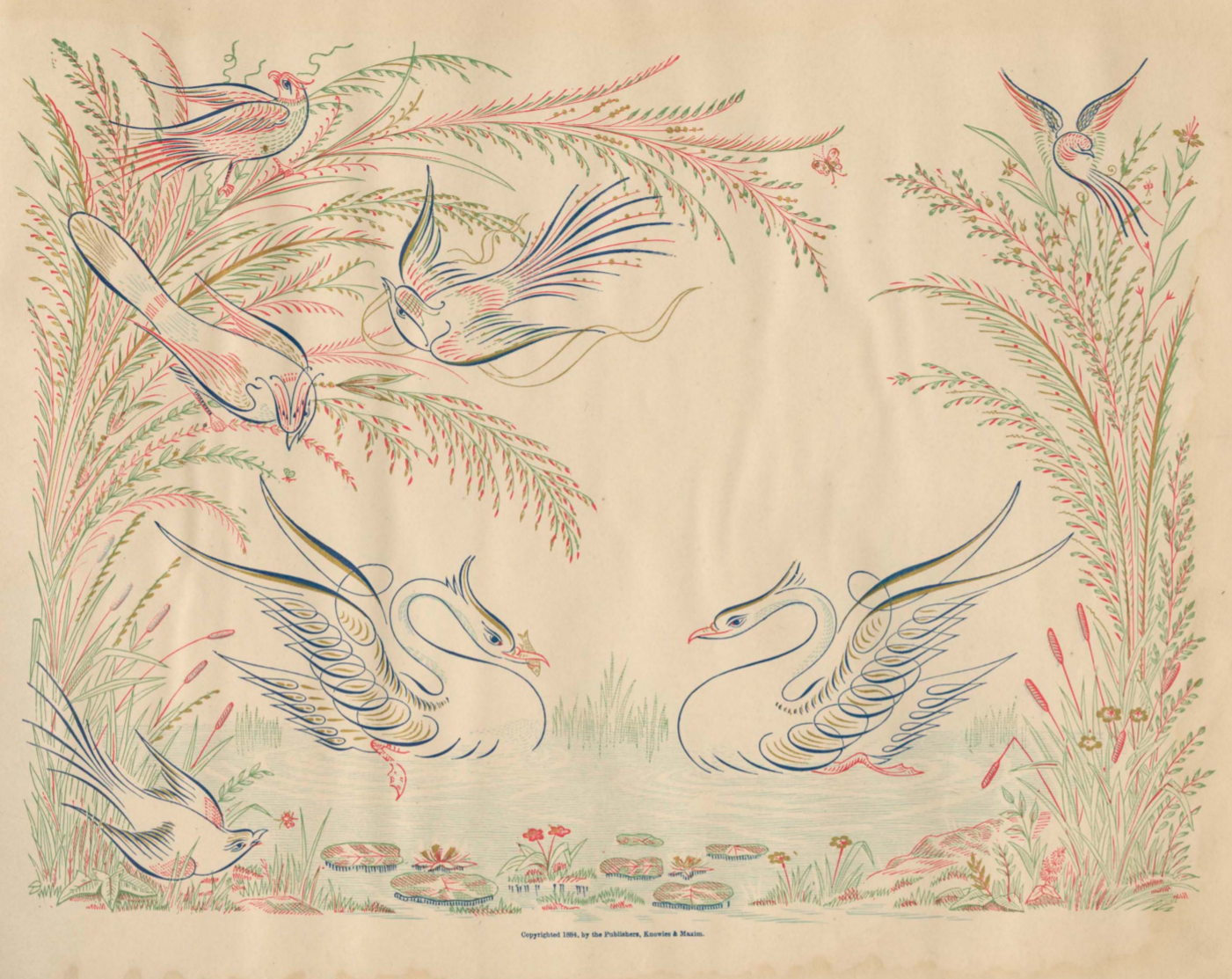 Distant from Black and White