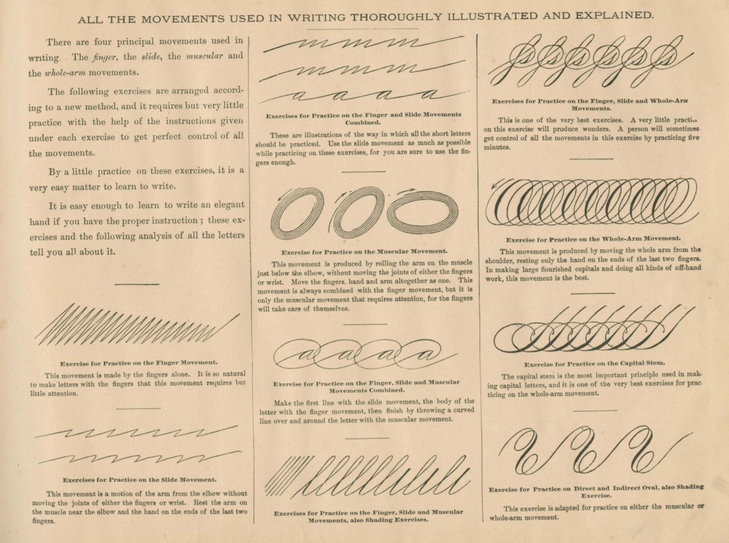 Practice Goes a Long Way