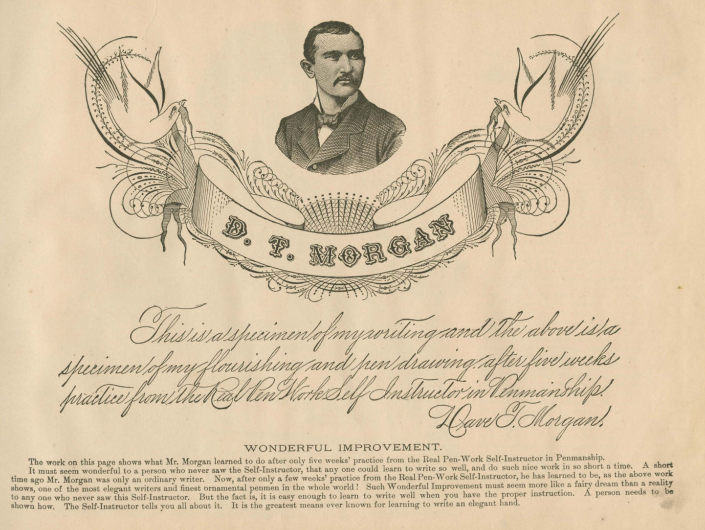 Wonderful Improvement